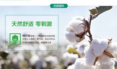 一朵棉花，一個國牌 醫用敷料OEM的國民品牌轉型與資本之路